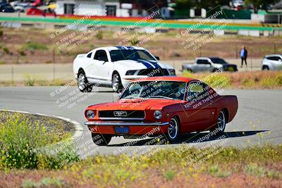 media/Apr-27-2024-LA Shelby Club (Sat) [[ca61902bd2]]/White Group/Session 1 (Turn 2)/